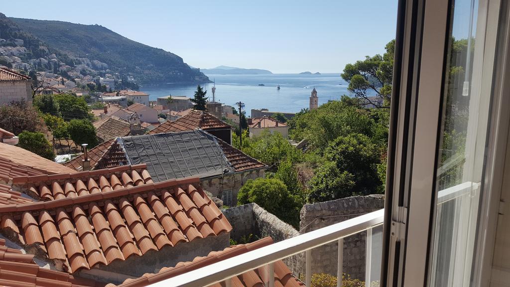 Turtle Dubrovnik