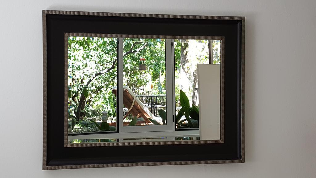 Apartment Turtle *