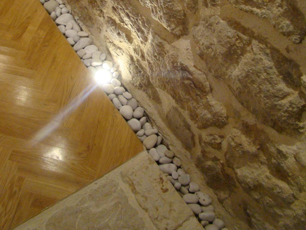 Turtle Appartement